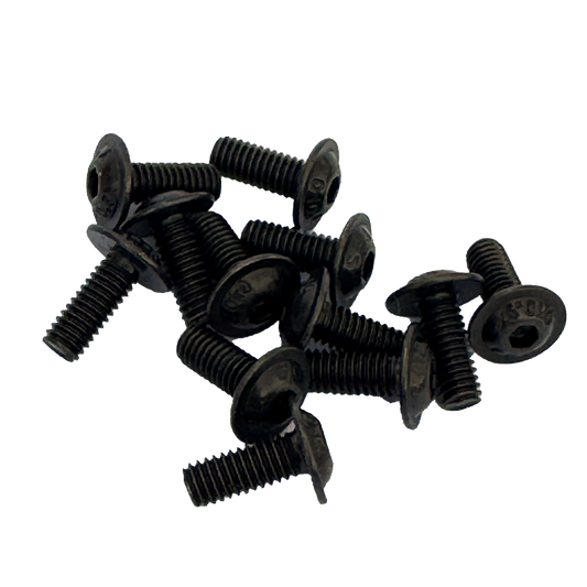 Bridle / World Class Screws