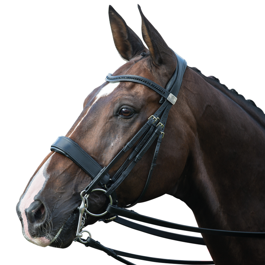 Complete Fairfax Double Bridle with Cavesson Noseband – GBP ...