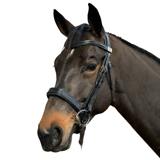 Complete Fairfax Snaffle Bridle with Narrow Cavesson Noseband